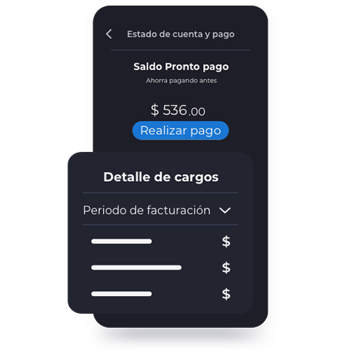 Consulta y paga tu saldo.